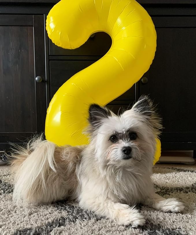 1 Balloon Numbers Birthday Decorations, 40In Yellow Balloons - Image 3