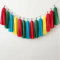 Red Green Blue Yellow Tassels, 20 Pack | Tassel Garland Party Banner Supplies by Unknown