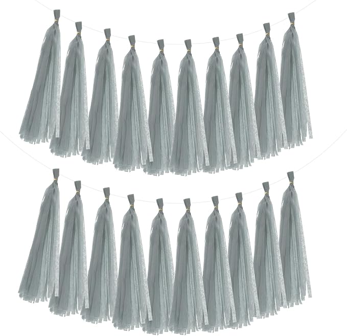 MECCANIXITY 20Pcs Tassel Garland Banner Tissue Paper by MECCANIXITY