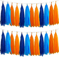 Blue and Orange Tassel Garland，Tissue Tassel Banner by We+Moment