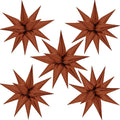 ZAKVOOR 60 Pcs Star Balloons 12 Spike Foil Explosion Party Decoration Balloons by ZAKVOOR
