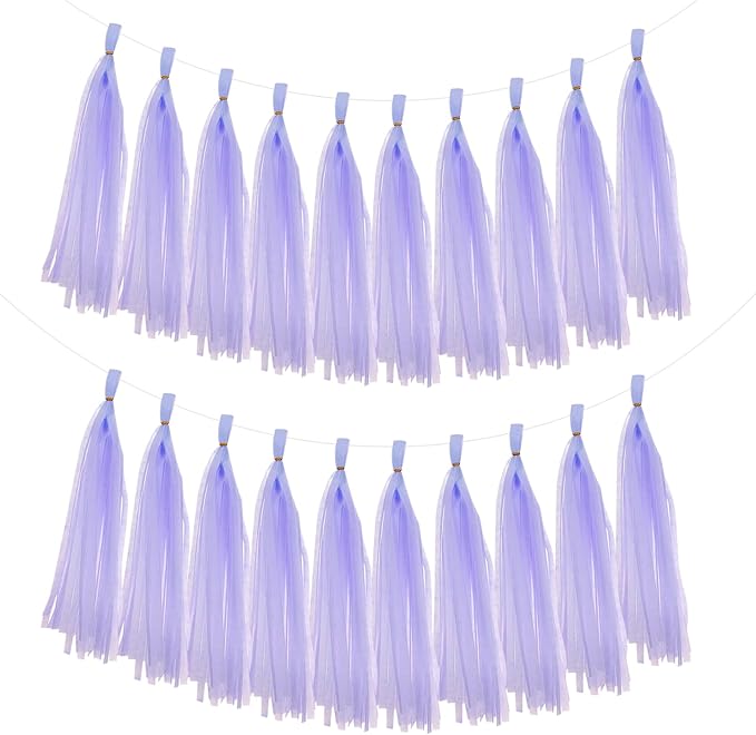 MECCANIXITY 20Pcs Tassel Garland Banner Tissue Paper by MECCANIXITY
