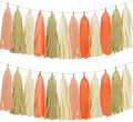 Tissue Paper Tassel Garland Banner, 20 Pack, Boho Party Decorations by AimtoHome