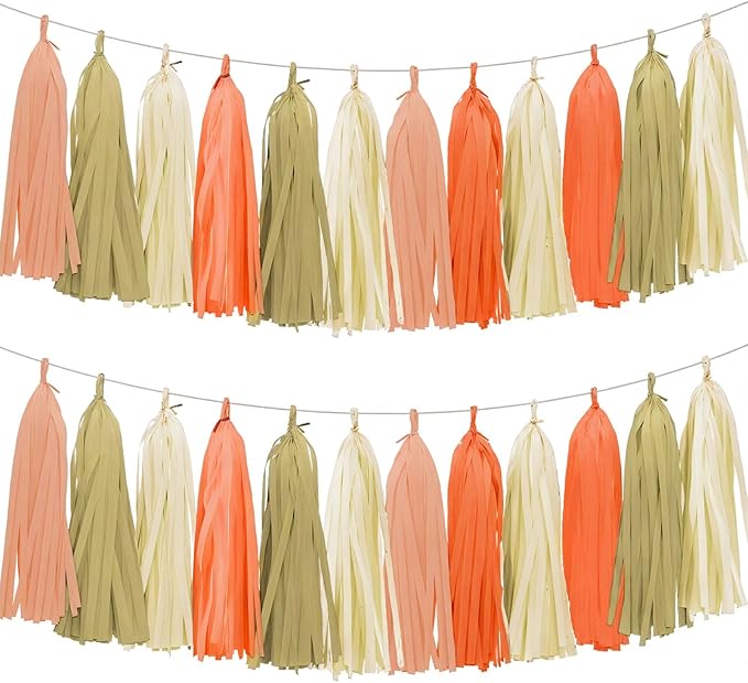Tissue Paper Tassel Garland Banner, 20 Pack, Boho Party Decorations by AimtoHome