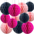 Hot Pink and Black Paper Honeycomb Balls, 12 Pack Hanging Tissue Pom poms by SIPRKAICT