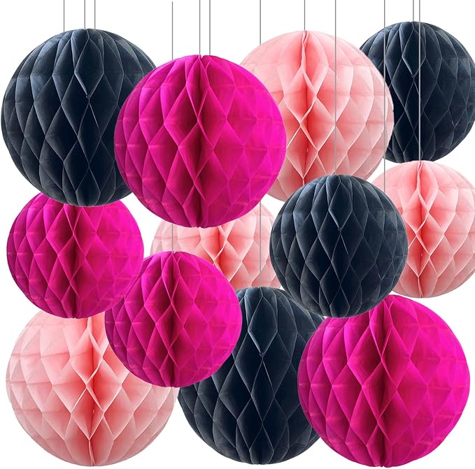 Hot Pink and Black Paper Honeycomb Balls, 12 Pack Hanging Tissue Pom poms by SIPRKAICT