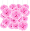 Qimoo 20pcs Paper Pom Poms Decorations, DIY Tissue Paper Flowers Ball by QIMOO