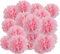 Qimoo 20pcs Light Pink Paper Pom Poms Decorations, DIY Tissue Paper Flowers Ball by QIMOO
