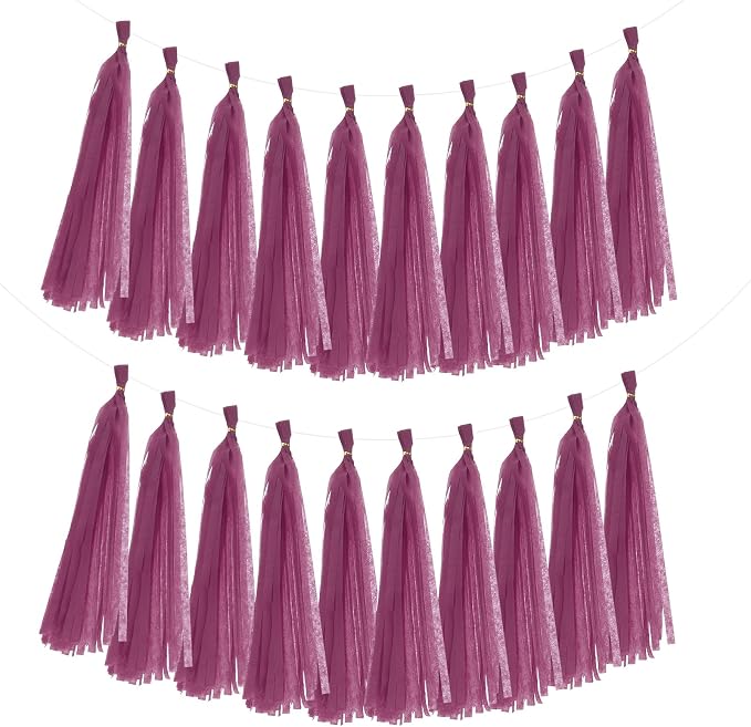 MECCANIXITY 20Pcs Tassel Garland Banner Tissue Paper by MECCANIXITY