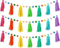 3Pcs Boho Tassel Garland 130cm/51in Long 12 Balls | Rainbow Felt Ball & Pom Pom by Tissting