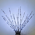 MENCH Branch Lights,3 Pcs Twig Light USB&Battery Powered 8 Flashing Modes by Remote Control.Branch Lights for Indoor, Light Up Decorations for Halloween Day and Christmas,Pure White