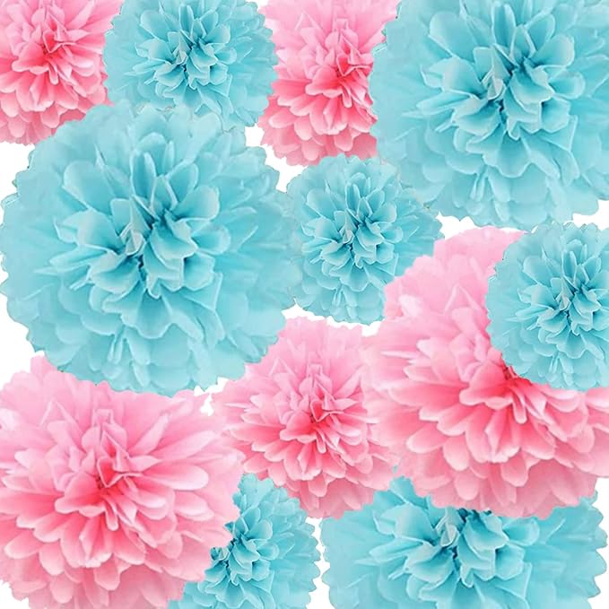 We Moment Tissue Paper Pom Poms Decorations by We+Moment