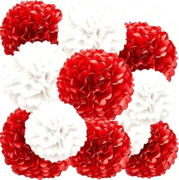 We Moment Red White Paper Pom Poms by We+Moment