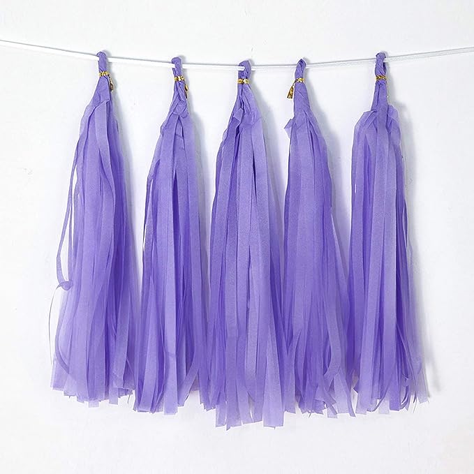 Tissue Paper Tassel DIY Hanging Paper Decorations Party Garland by Binpeng