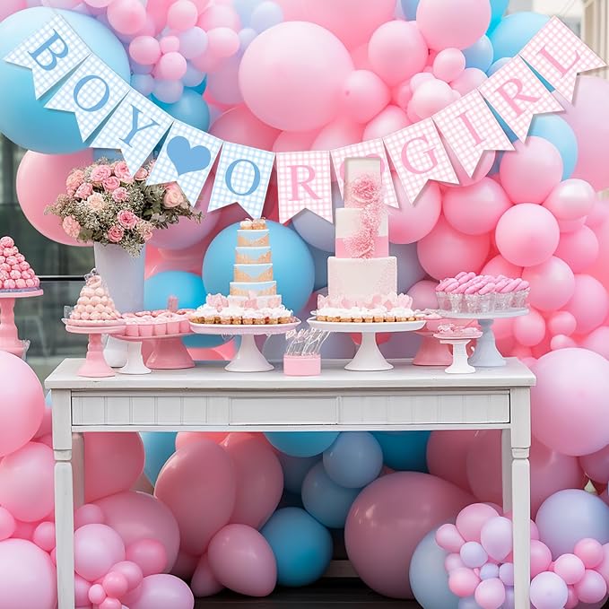 Hahafelt 1 Pcs Blue Pink Gingham Boy or Girl Banner - Image 6