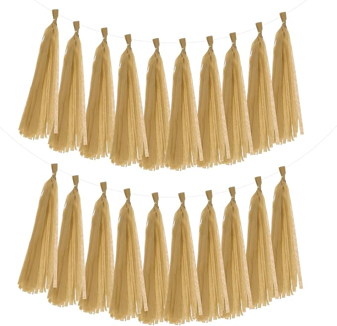 MECCANIXITY 20Pcs Tassel Garland Banner Tissue Paper by MECCANIXITY