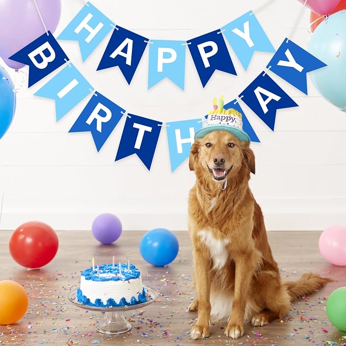 Pre-Strung Blue Happy Birthday Banner Signs, Birthday Party Decorations - Image 7
