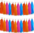 Rose Red Orange Blue Red Tassel Garland，Tissue Tassel Banner Mexican Birthday by We+Moment