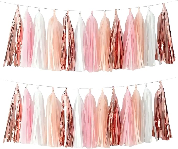 Rose Gold Peach White Pink Tassel Garland Banner, 20 Pack, Tassel Garland Party by AimtoHome