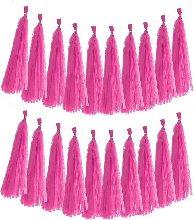 MECCANIXITY 20Pcs Tassel Garland Banner Tissue Paper by MECCANIXITY