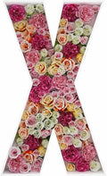 2FT Letter X Mosaic Balloon Frame Letter DIY Fillable Letters Kit by JW+Passion+-+Premium+Quality%2C+Made+With+Passion