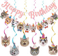 Cat Themed Birthday Party Decorations, Cat Birthday Decorations by Unknown