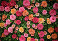 Floral Backdrop for Photography Mother's Day Backdrop Wedding Backdrops Spring by Hnzwbxg