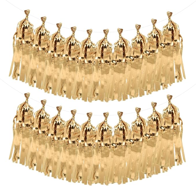 MECCANIXITY 20Pcs Shiny Tassel Garland Banner Tissue Paper by MECCANIXITY