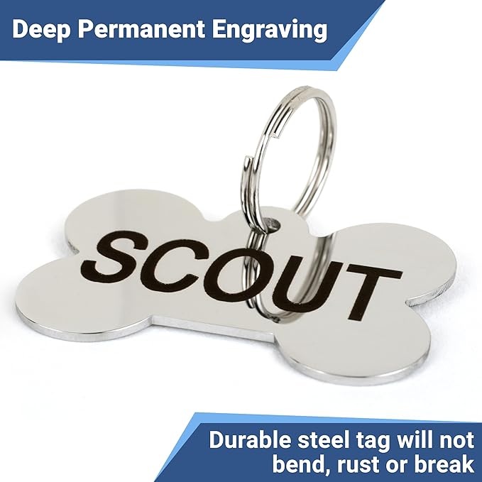 GoTags Stainless Steel Pet ID Tags, Personalized Dog Tags and Cat Tags, up to 8 Lines of Custom Text, Engraved on Both Sides, in Bone, Round, Heart, Bowtie and More (Bow Tie, Regular (Pack of 1))