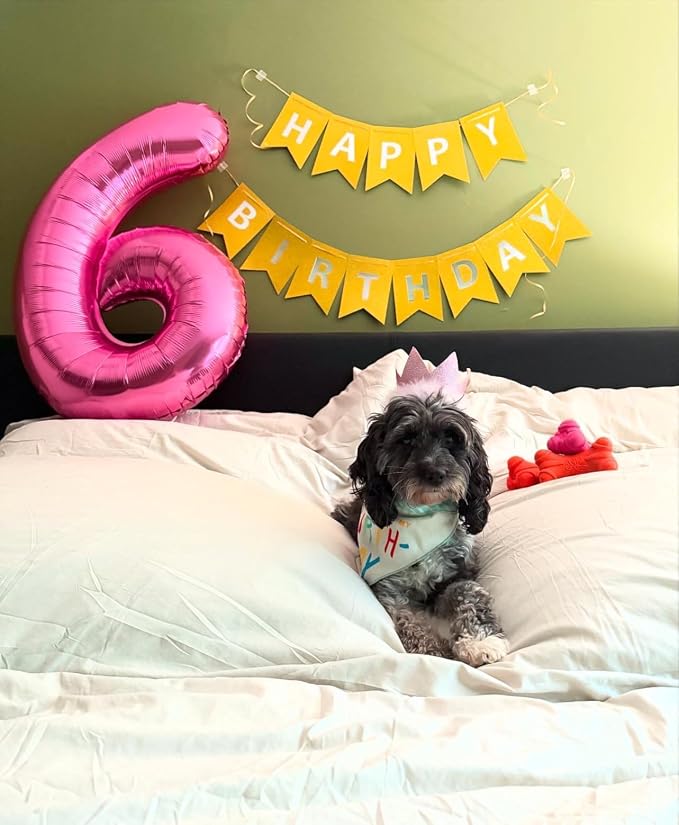5 Balloon - Pastel Blue Birthday Number Balloons, 40 Inch Decorations | Pastel - Image 2