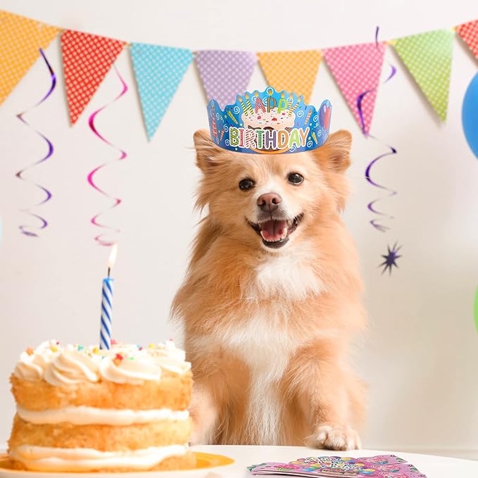 Hooqict 30 Pcs Birthday Crowns for Classroom Party Hats Birthday Hats for Kids - Image 6