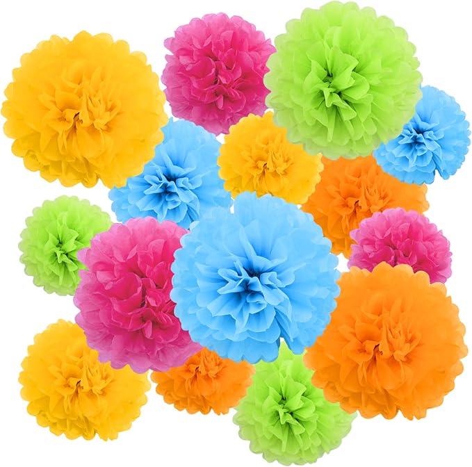 Livder Paper Flowers Bright Colorful Tissue Paper Pom Poms by Livder