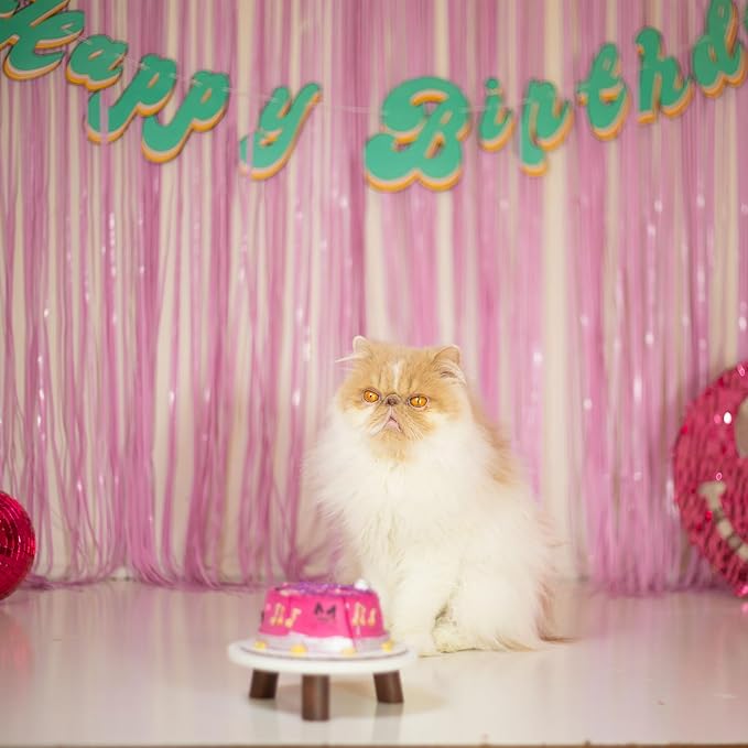 Pastel Pink Party Streamers Foil Fringe Backdrop Curtains Tinsel Streamers - Image 4