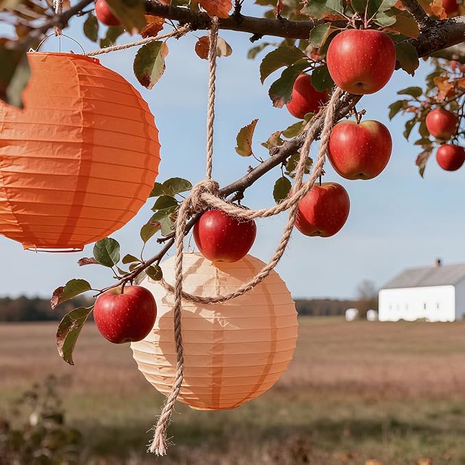 20Pcs Paper Lanterns - Image 5