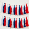 We Moment Blue Red and White Tissue Paper Tassels Party Tassel Garland Banner by We+Moment