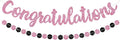 BEISHIDA Congratulations Banner Pink 2026 Graduation Banners, Grad Congrats by Beishida