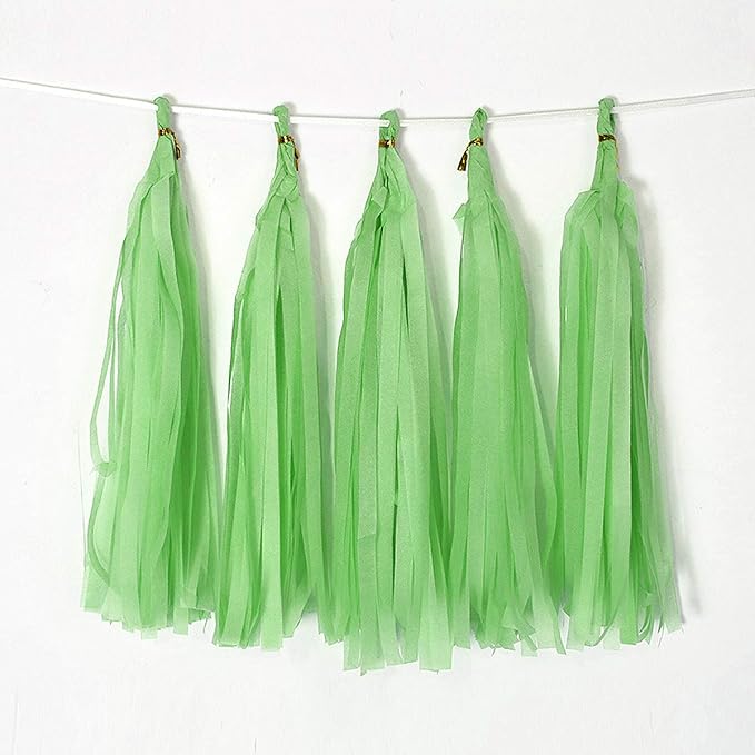 9.8in Tissue Paper Tassel DIY Hanging Paper Decorations Party Garland by Binpeng