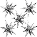 ZAKVOOR 60 Pcs Star Balloons 12 Spike Foil Party Decoration Balloons by ZAKVOOR