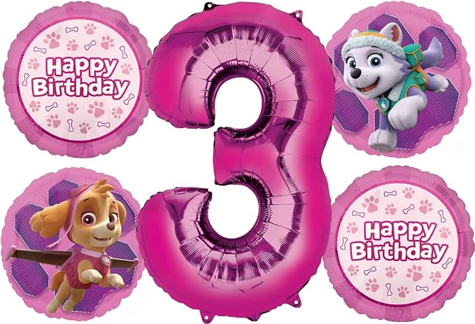 Skye Everest 3rd Birthday Party Supplies Girl Paw Pups on Patrol Balloons by Anagram
