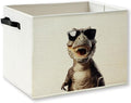 Funny Dinosaur Boys Nursery Storage Basket by KSDUT