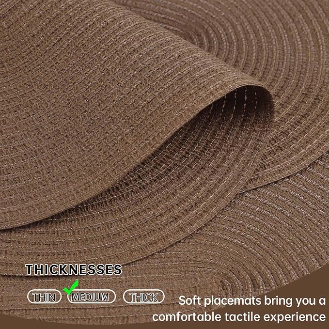 Placemats Set of 6, Woven Oval Braided Dining Table Mats | 12 x 17.5 Inch Size - Image 3