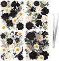 78 Pcs Black and White Dried Pressed Flowers with Tweezer, Halloween Themed Real Dried Flowers Leaves for DIY Crafts Resin Molds, Dried Flowers for Autumn Halloween Decorations