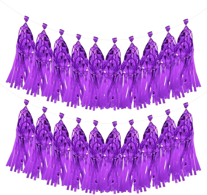 MECCANIXITY 20Pcs Shiny Tassel Garland Banner Tissue Paper by MECCANIXITY