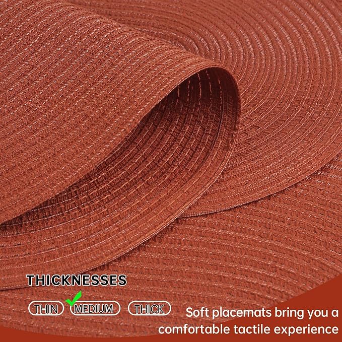 Placemats Set of 4, Woven Oval Braided Dining Table Mats | 12 x 17.5 Inch Size - Image 3