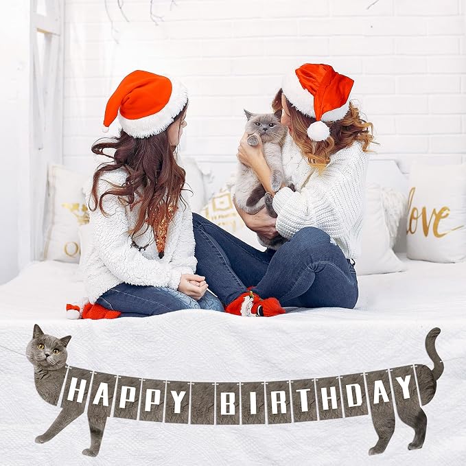 Cat Happy Birthday Banner Grey Cats Theme Party Decorations Cat Banner Bunting - Image 9