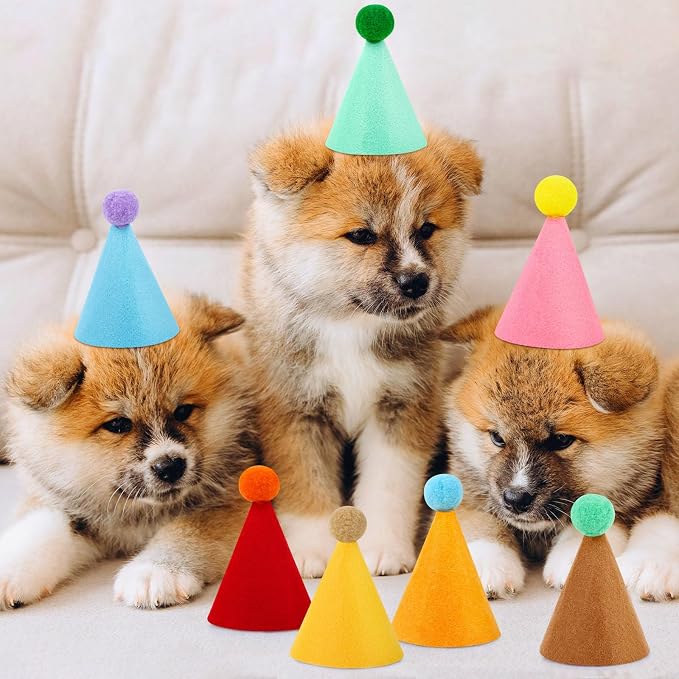 Hxezoc 10 Pcs Colorful Mini Party Hats - Image 5