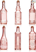 Assorted Reddish Glass Bottles with Corks, 6 Pack, 2.5in X 9in, 16oz