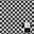 3 Pack 3.3 x 9.9 ft Black & White Tinsel Streamers Party Decorations | Foil by Crosize