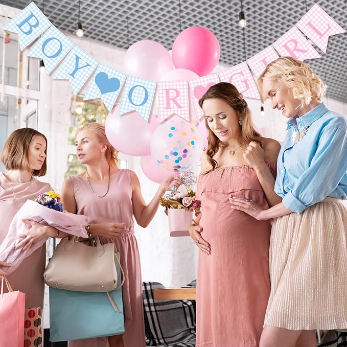 Hahafelt 1 Pcs Blue Pink Gingham Boy or Girl Banner - Image 5