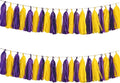 Purple Yellow Paper Tassel, 20 Pack, Party Decorations by AimtoHome